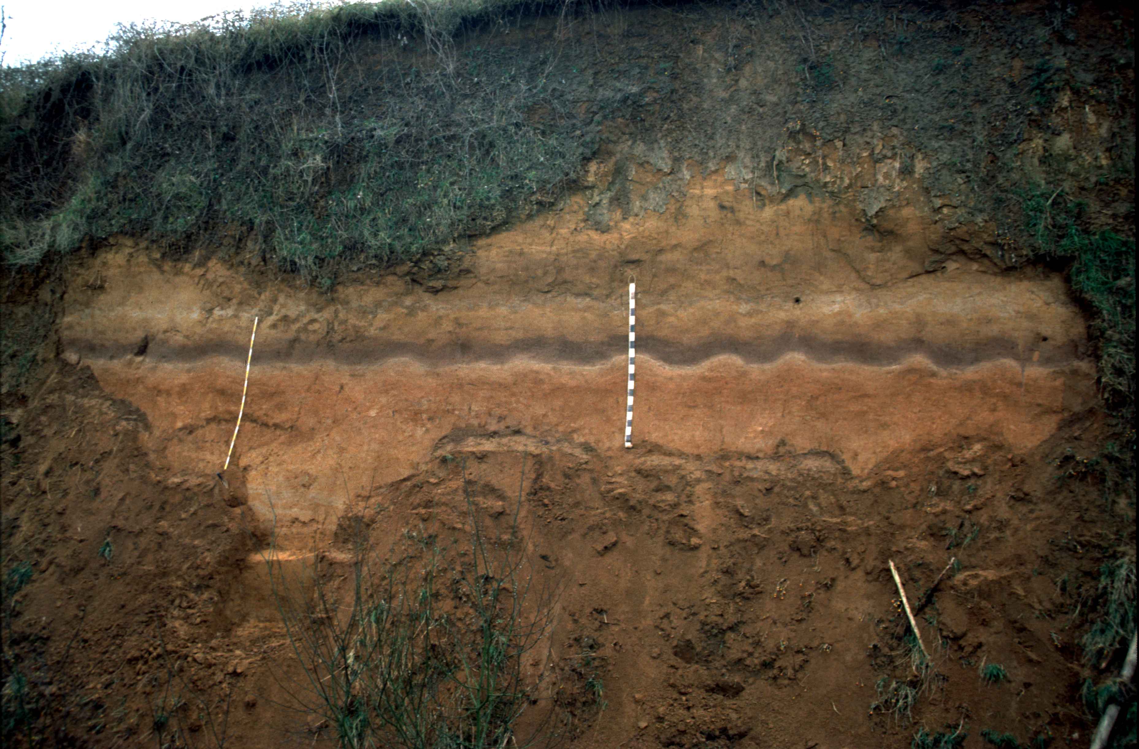 Imagen del Programa de investigación Geocronología y Geología