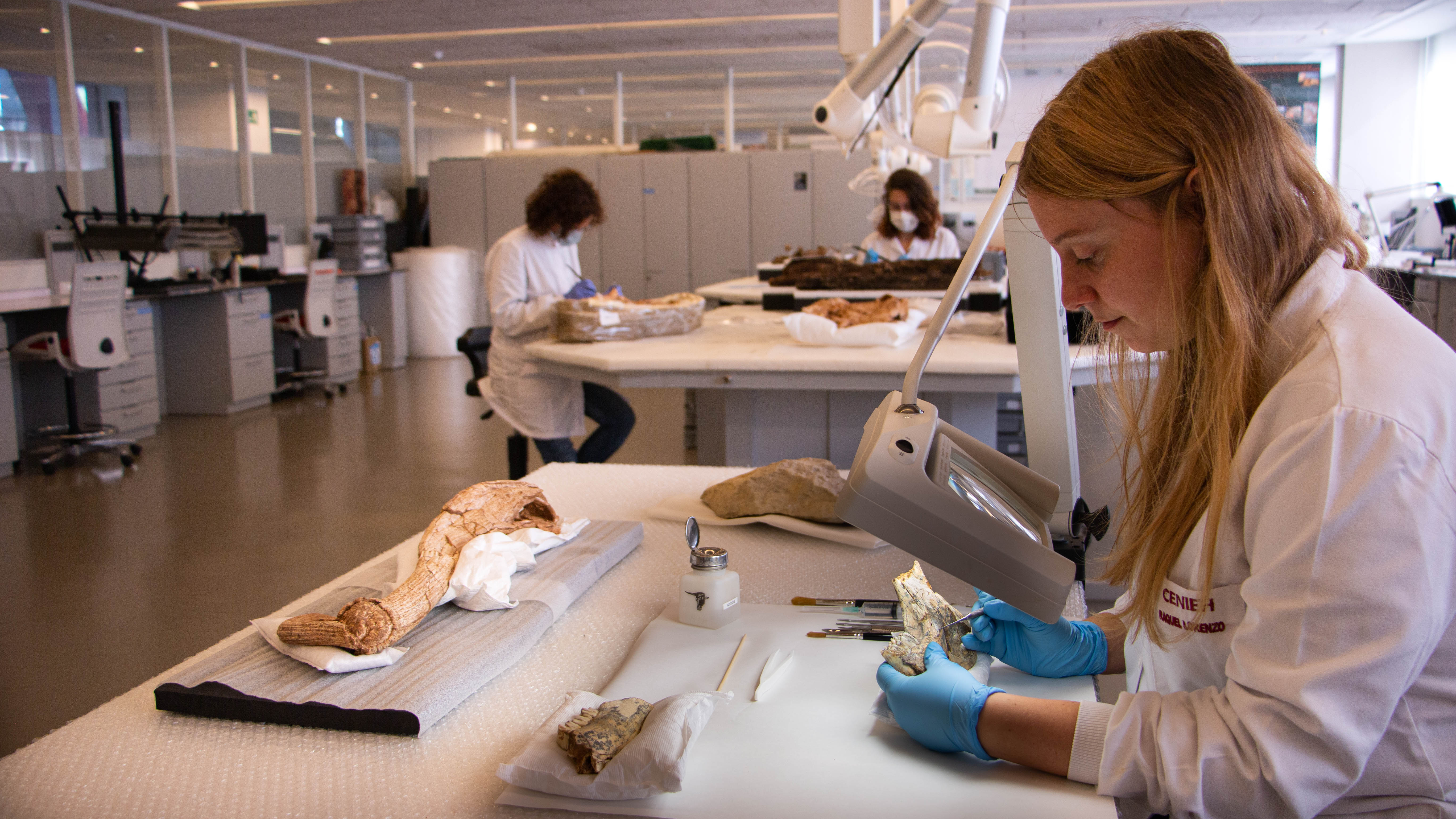 Imagen del Laboratorio Conservación y Restauración