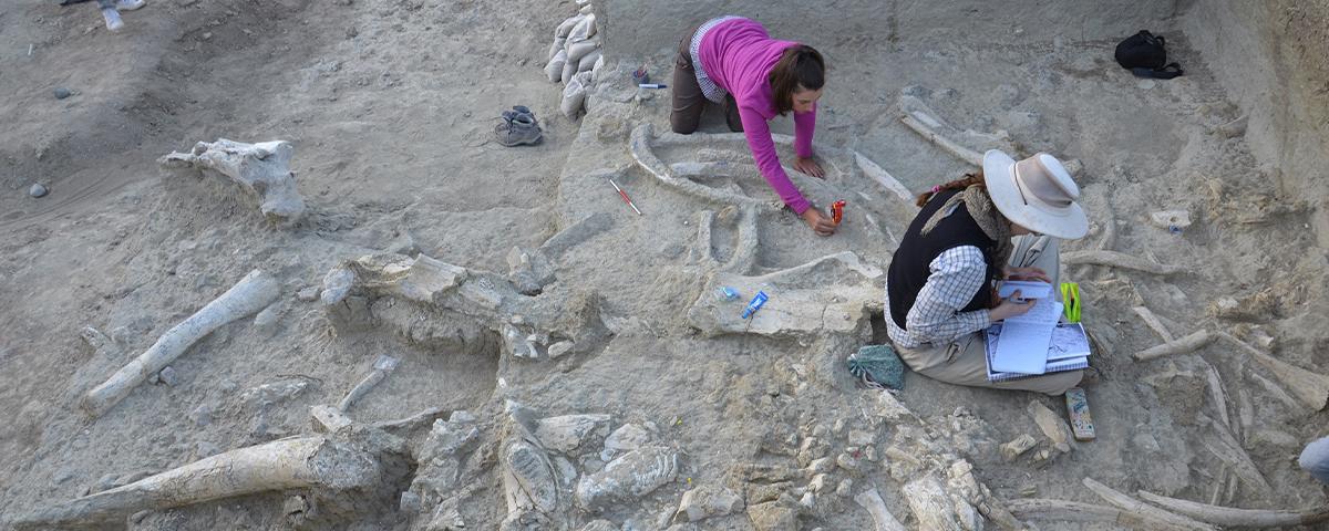 Imagen del Programa de investigación Arqueología